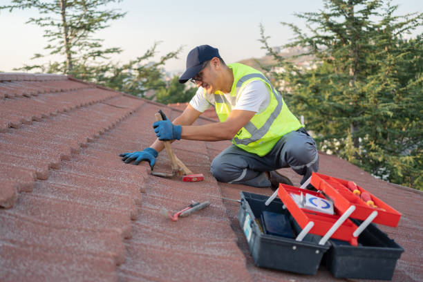Sealant for Roof in Ash Grove, MO